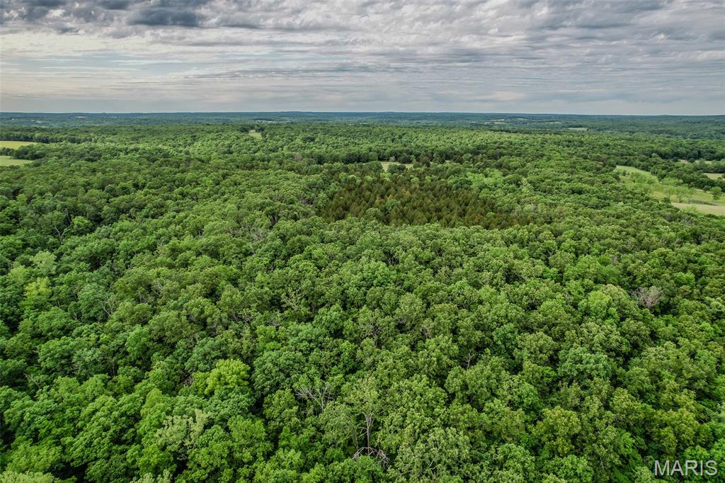 Tbd Shepherd Road Richland, MO 65556 - Photo 8 of 29