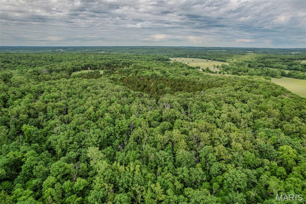 Tbd Shepherd Road Richland, MO 65556 - Photo 9 of 29