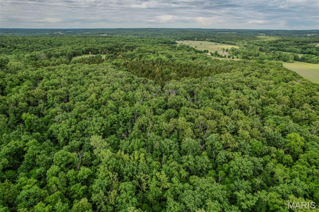 Tbd Shepherd Road Richland, MO 65556 - Photo 10 of 29