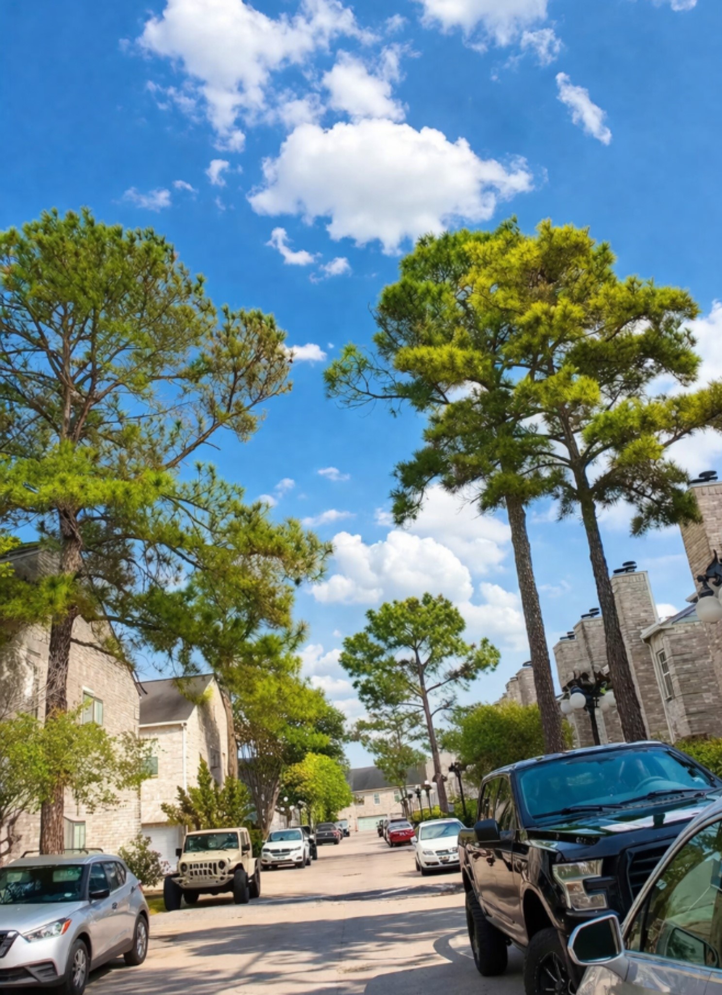 6000 Reims Road, Unit 2405 Houston, TX 77036 - Photo 4 of 30