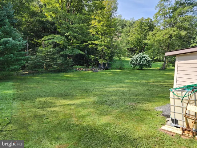 a view of a park with large trees