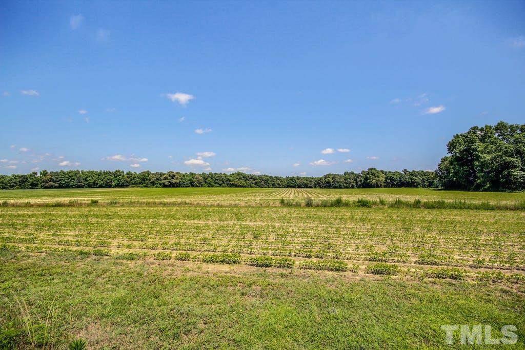 3123 Progressive Church Road Princeton, NC 27569 - Photo 29 of 30 Gallery Image 29
