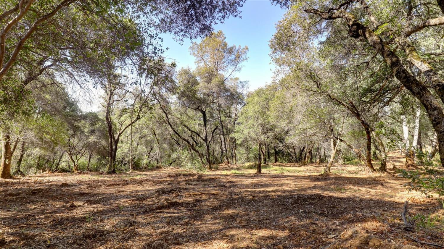 0 Southridge Road Penn Valley, CA 95946 - Photo 67 of 72