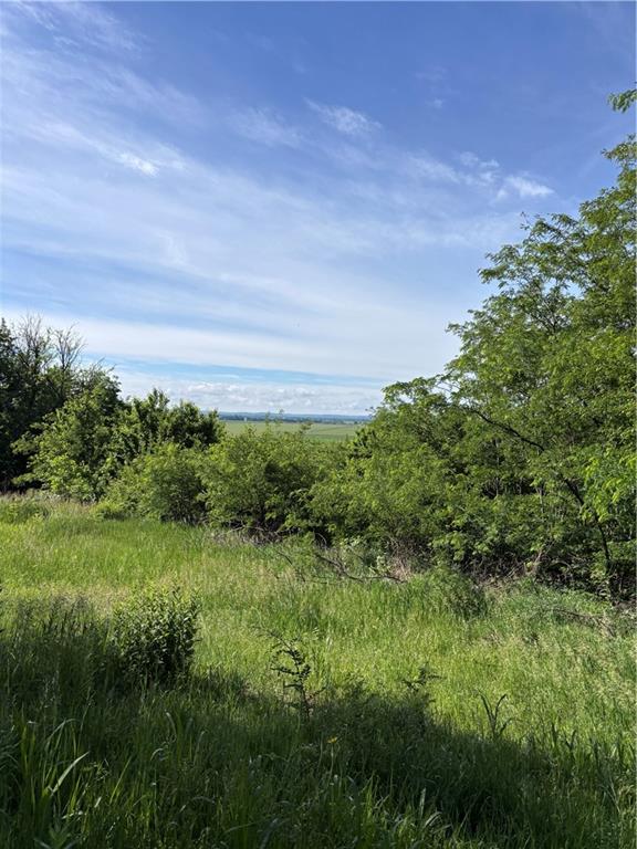 1420 Treece Road Wathena, KS 66090 - Photo 8 of 9