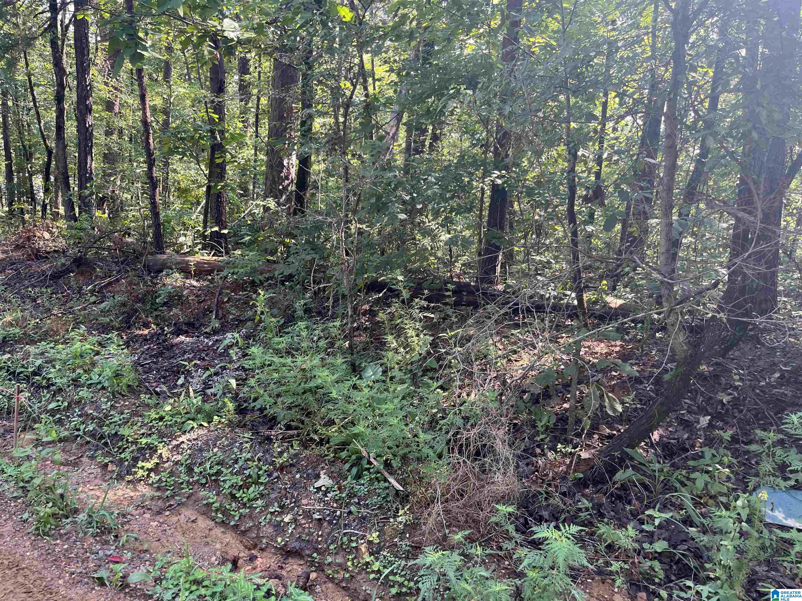 12745 Clyde Circle, Unit 5 McCalla, AL 35111 - Photo 3 of 5