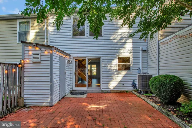 a view of backyard and tree