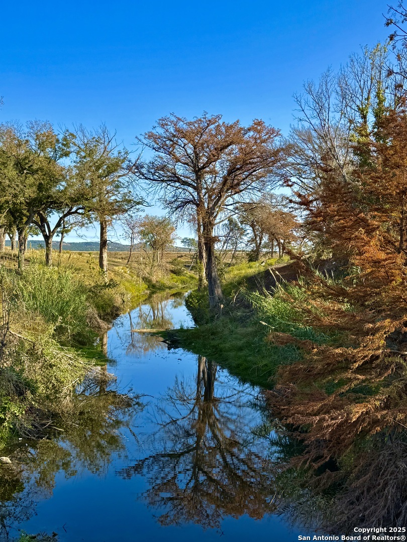 247 Center Point Drive East Center Point, TX 78010 - Photo 3 of 87
