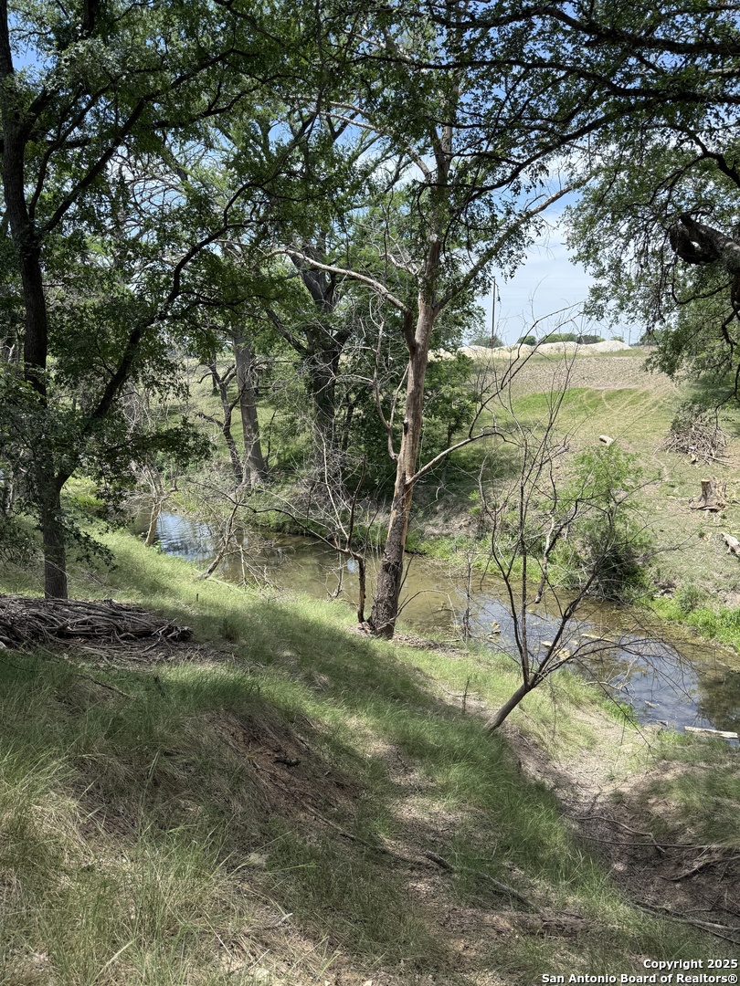 247 Center Point Drive East Center Point, TX 78010 - Photo 4 of 87 a view of a yard with a tree