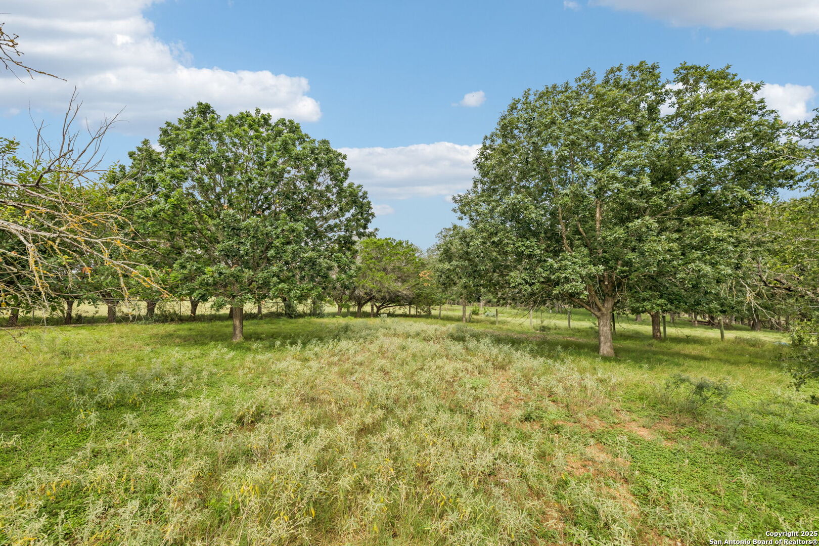 247 Center Point Drive East Center Point, TX 78010 - Photo 81 of 87