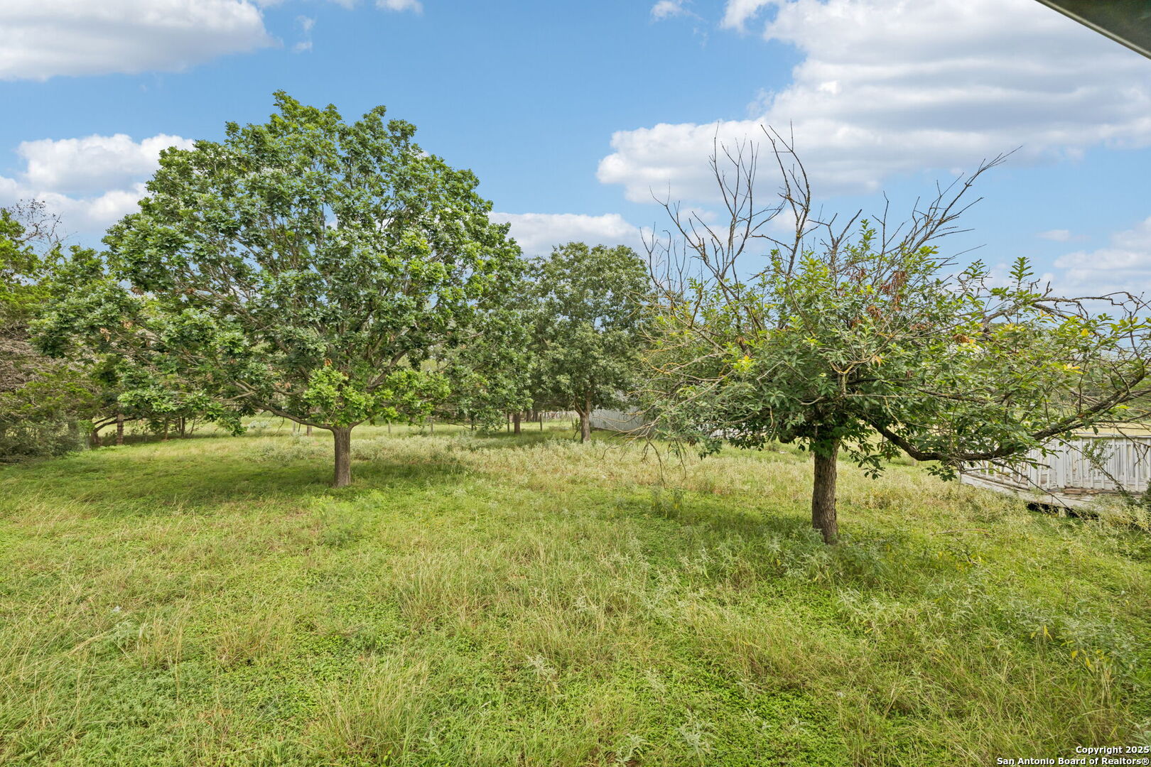 247 Center Point Drive East Center Point, TX 78010 - Photo 82 of 87