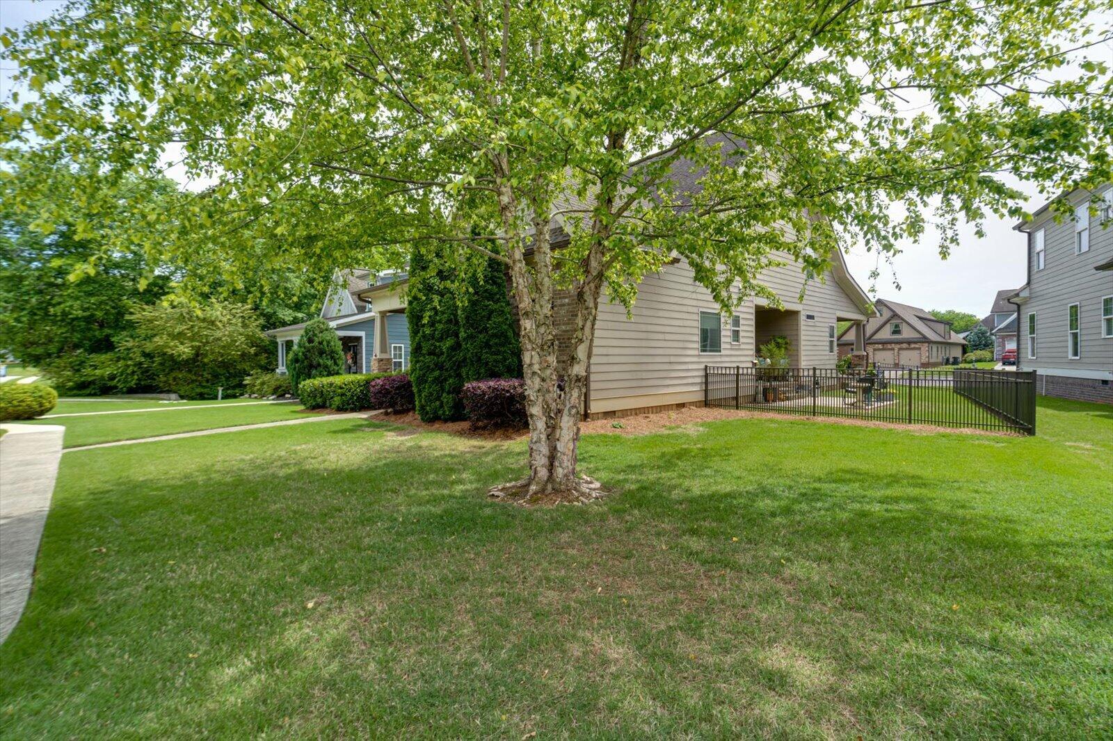 10683 Ferran Way Apison, TN 37302 - Photo 3 of 45 03-10683 Ferran Way-3