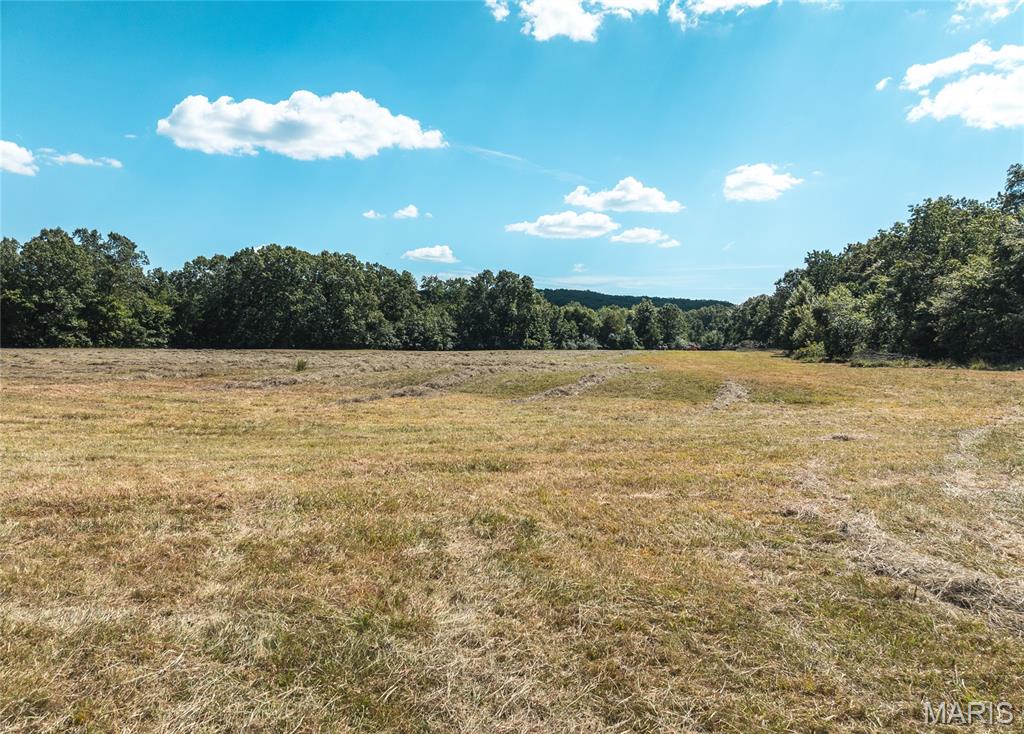 4 Buck Mountain Road Ironton, MO 63650 - Photo 20 of 27