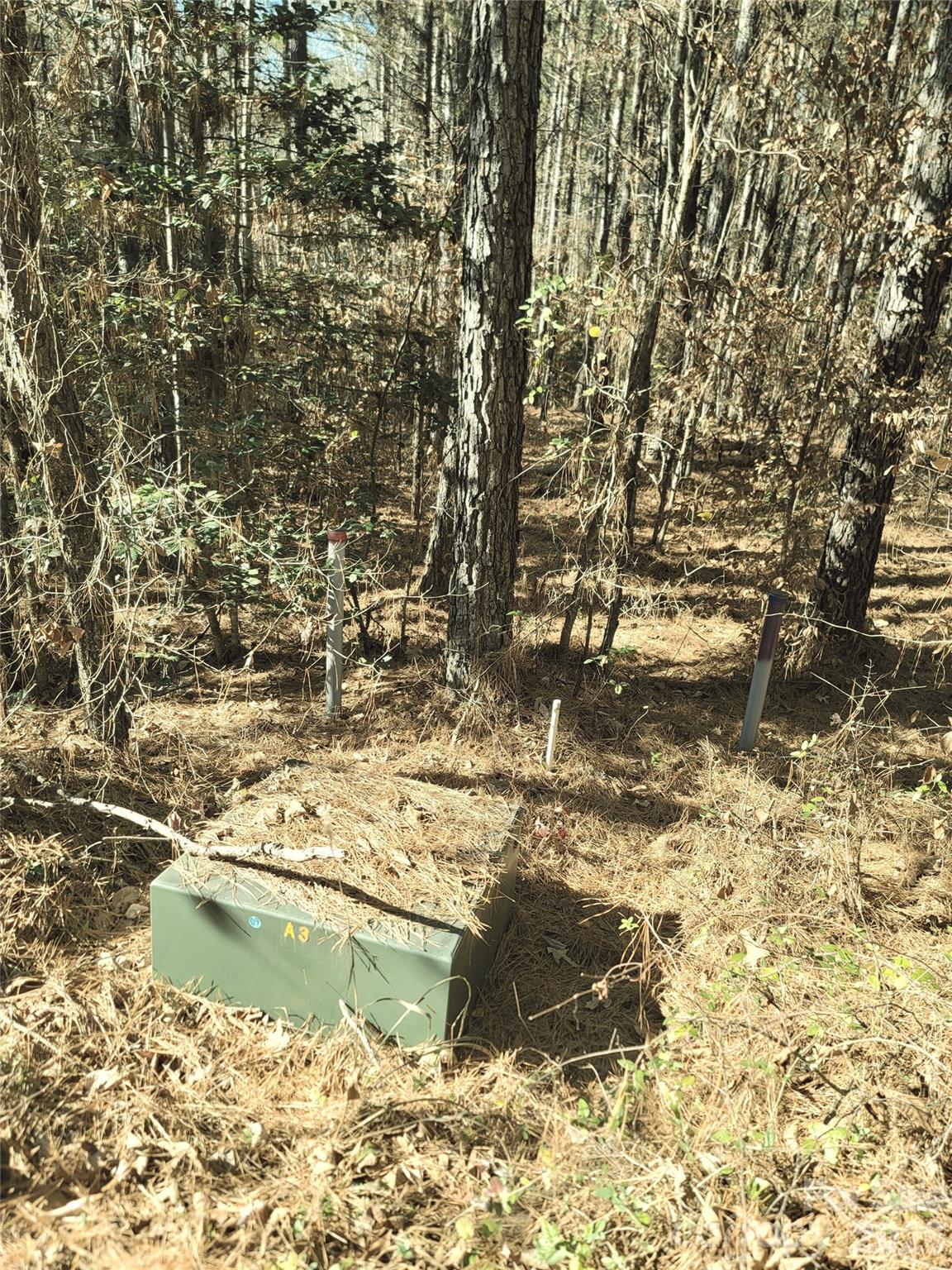 0 Farmer Johns Trail, Unit 9 Rutherfordton, NC 28139 - Photo 12 of 30