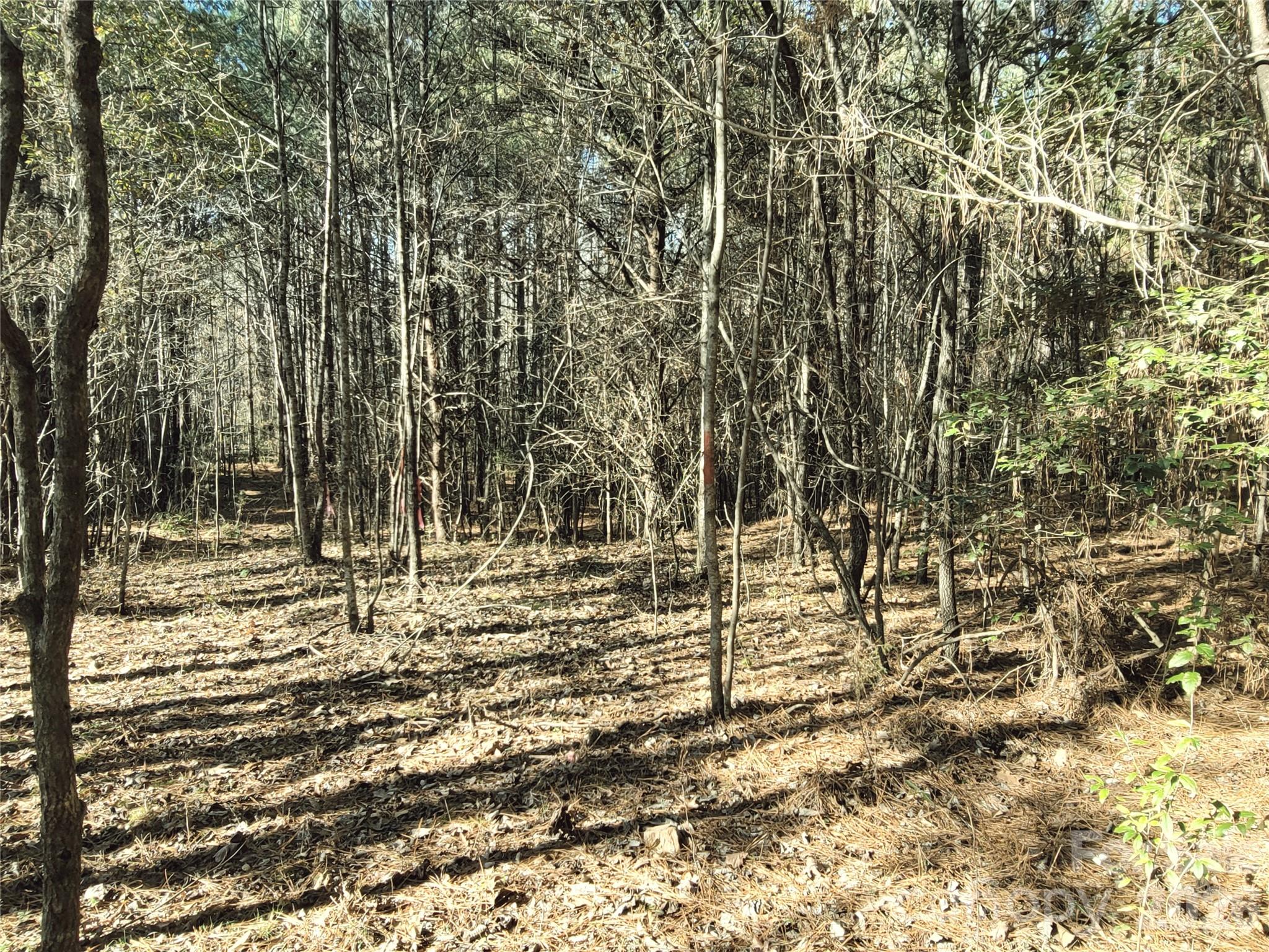 0 Farmer Johns Trail, Unit 9 Rutherfordton, NC 28139 - Photo 13 of 30