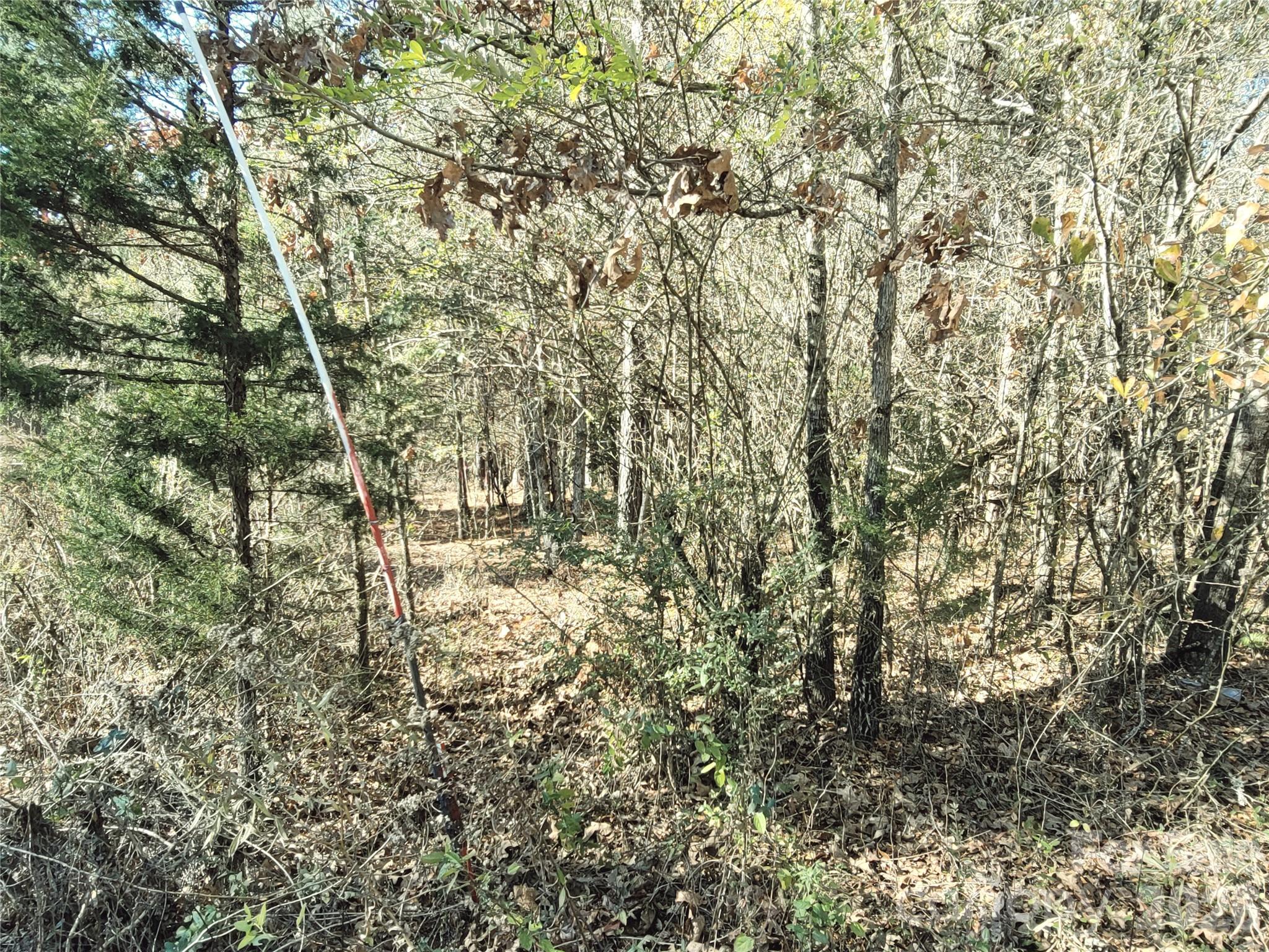 0 Farmer Johns Trail, Unit 9 Rutherfordton, NC 28139 - Photo 14 of 30