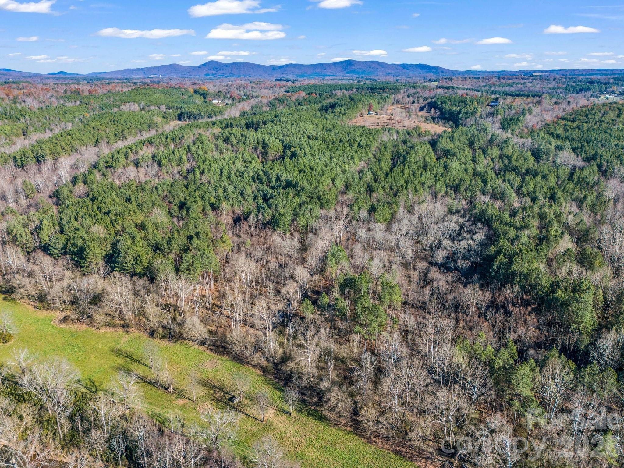 0 Farmer Johns Trail, Unit 9 Rutherfordton, NC 28139 - Photo 15 of 30