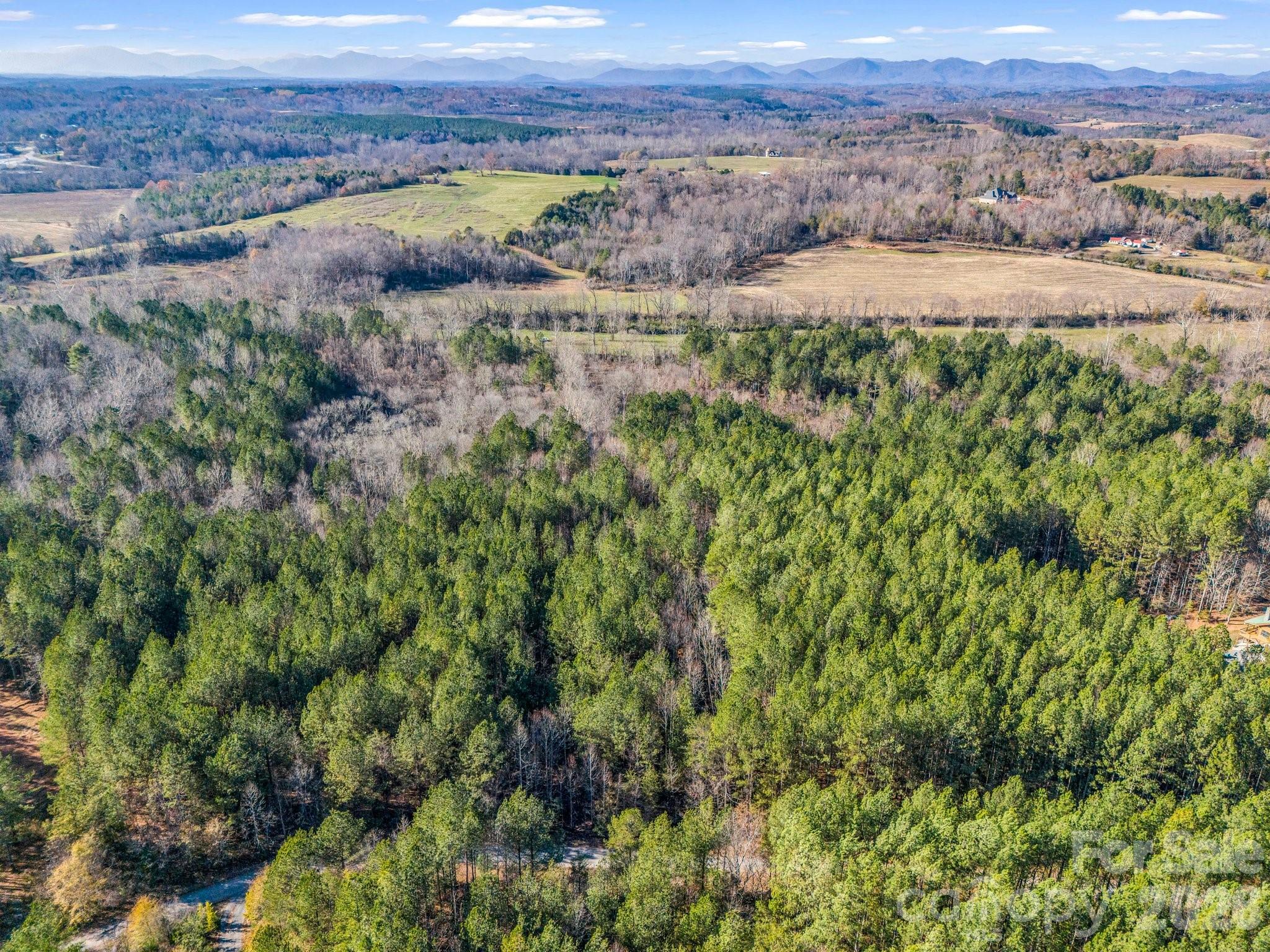0 Farmer Johns Trail, Unit 9 Rutherfordton, NC 28139 - Photo 17 of 30