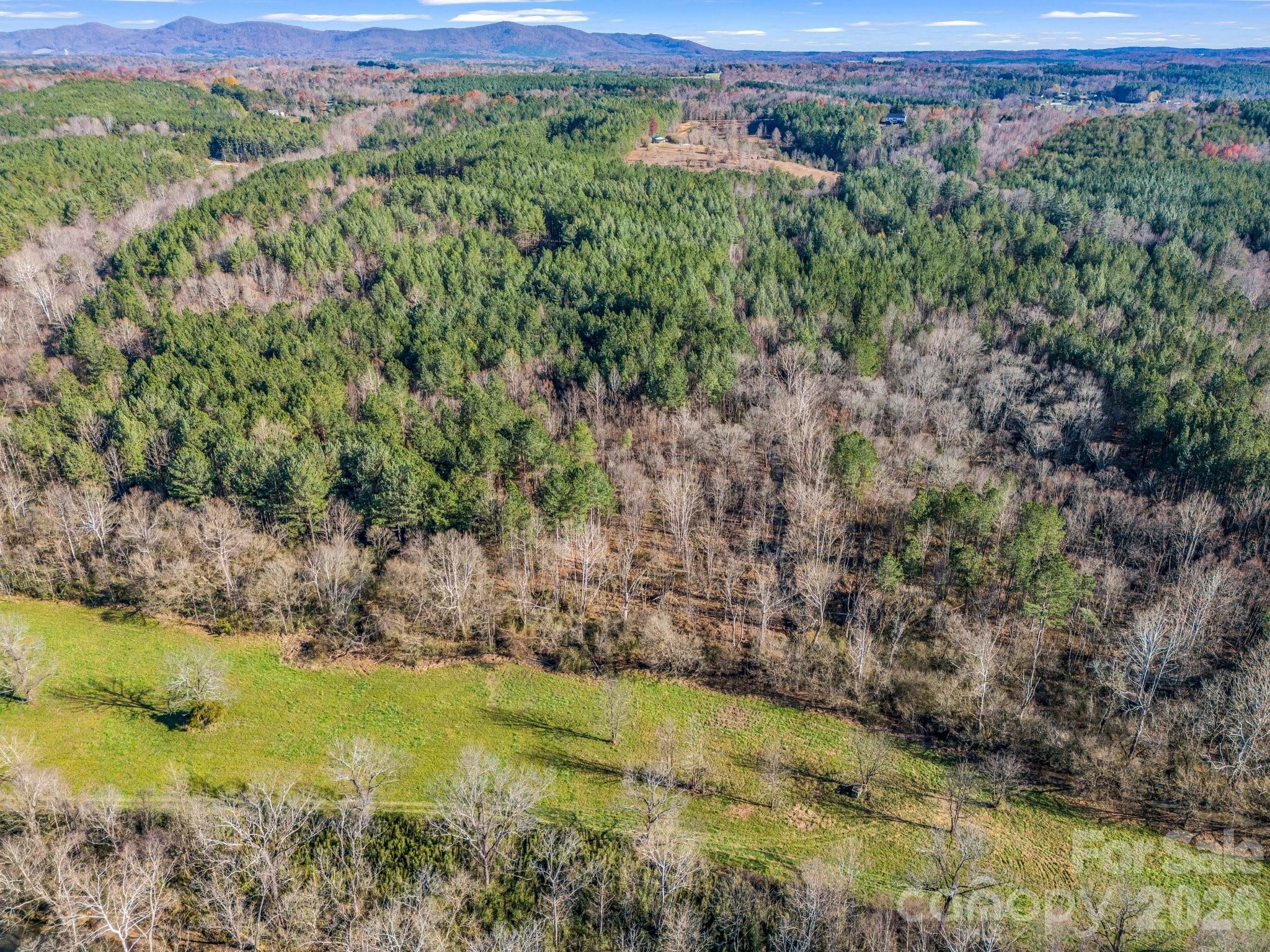 0 Farmer Johns Trail, Unit 9 Rutherfordton, NC 28139 - Photo 22 of 30