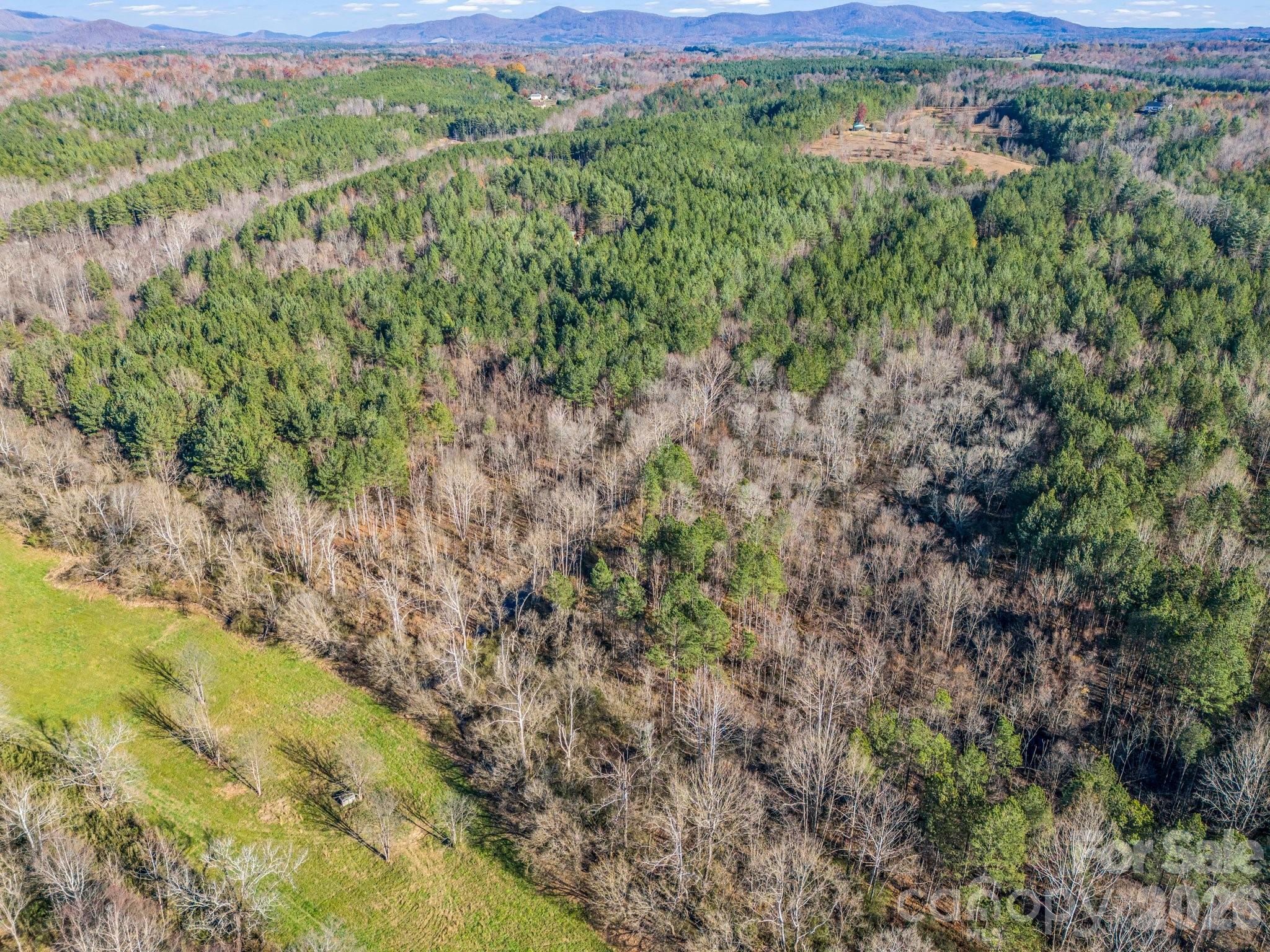 0 Farmer Johns Trail, Unit 9 Rutherfordton, NC 28139 - Photo 23 of 30