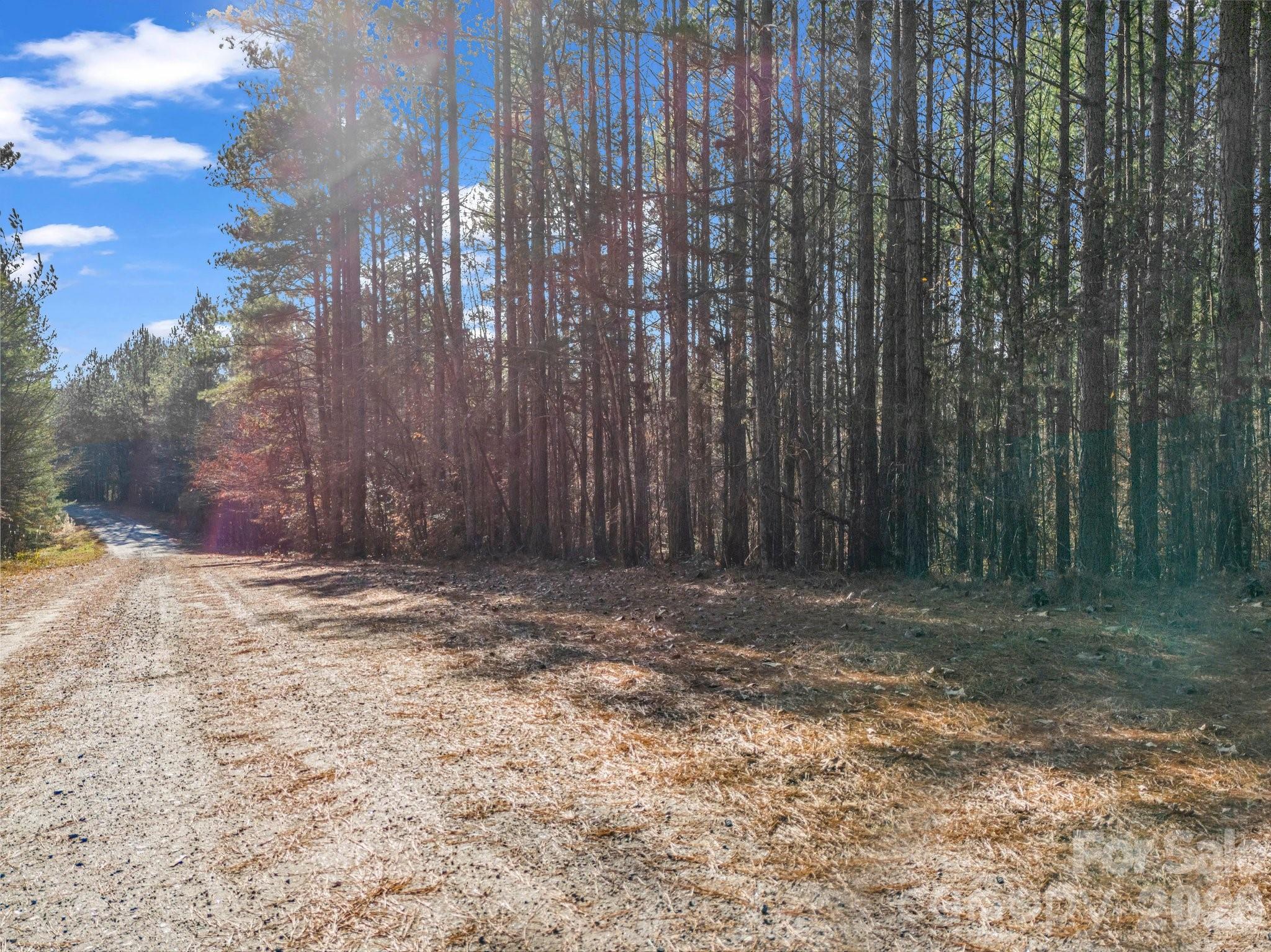 0 Farmer Johns Trail, Unit 9 Rutherfordton, NC 28139 - Photo 5 of 30