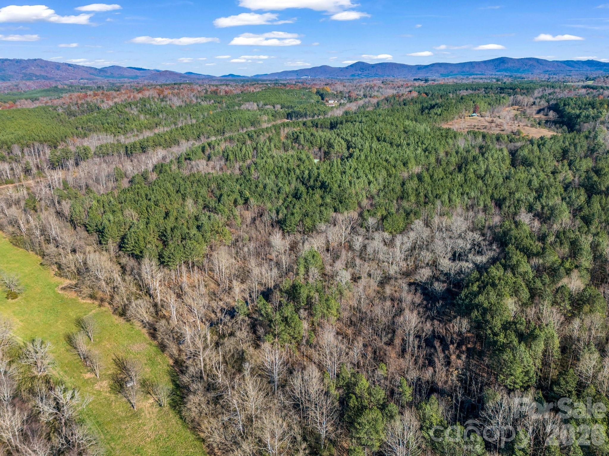 0 Farmer Johns Trail, Unit 9 Rutherfordton, NC 28139 - Photo 7 of 30