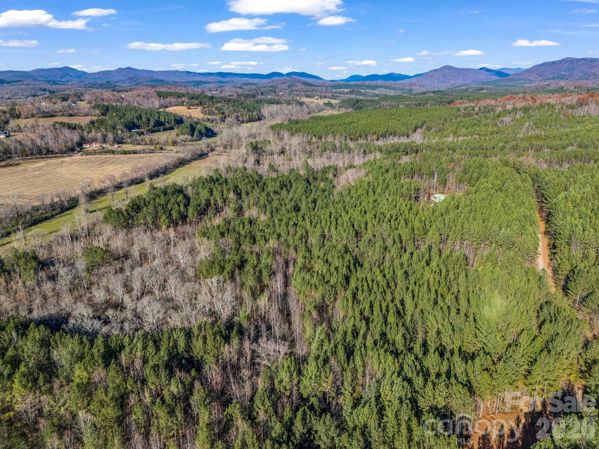 0 Farmer Johns Trail, Unit 9 Rutherfordton, NC 28139 - Photo 8 of 30