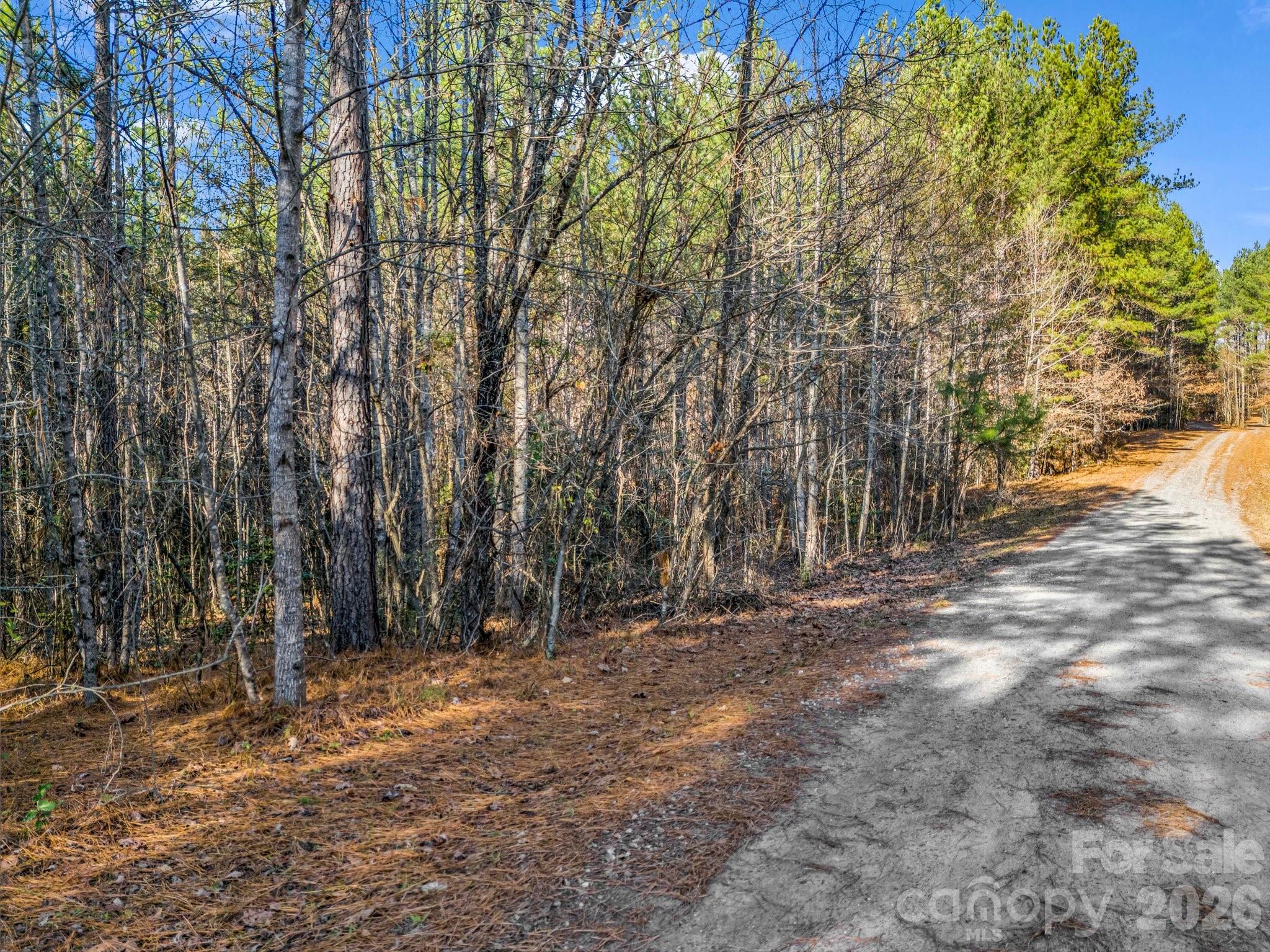 0 Farmer Johns Trail, Unit 9 Rutherfordton, NC 28139 - Photo 9 of 30