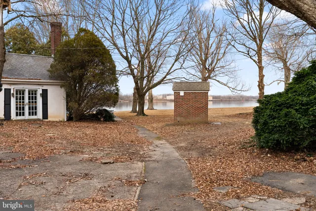 a street view with large trees