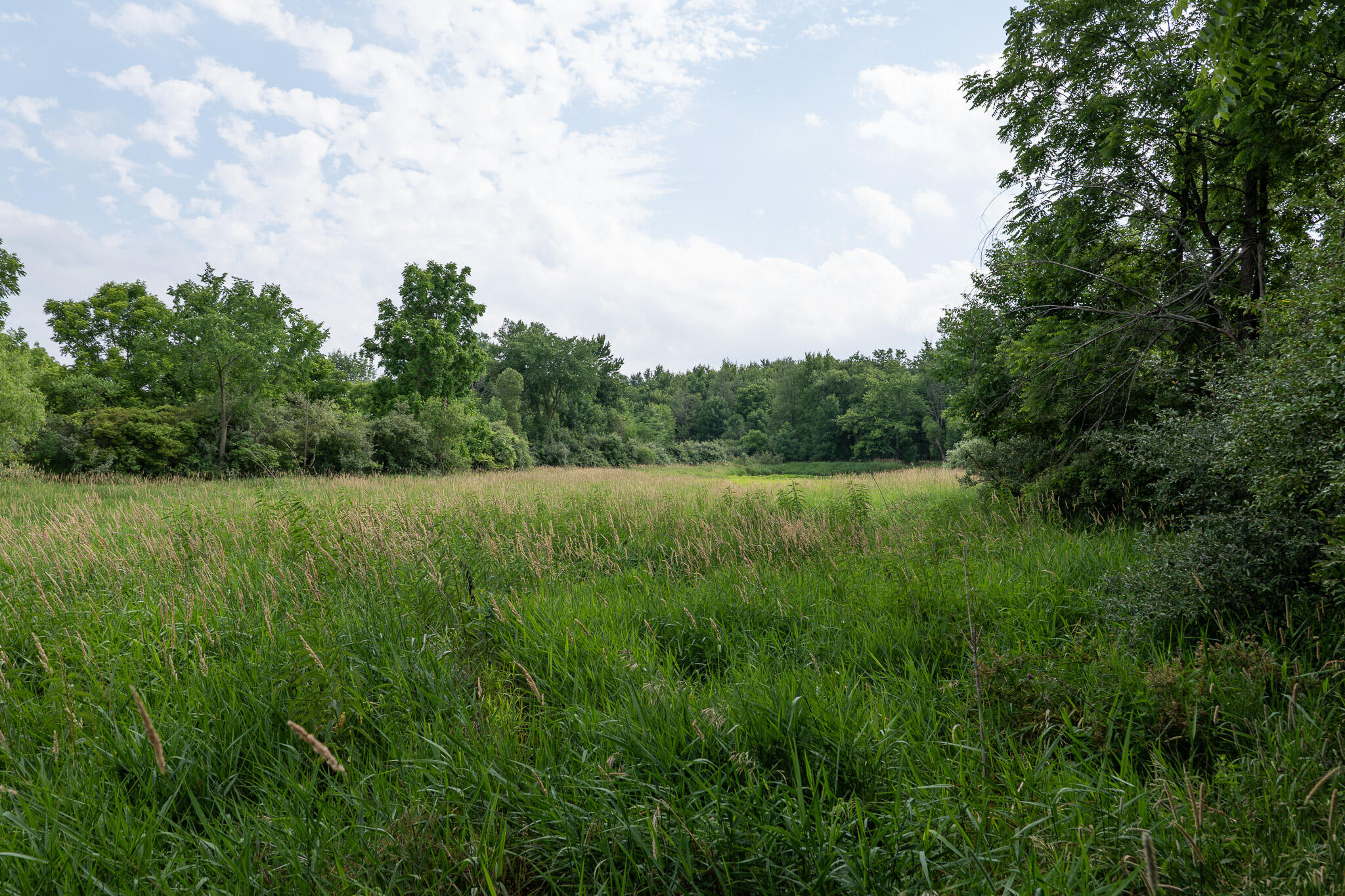 3282 Jerome Road North North Adams, MI 49262 - Photo 28 of 34 P1067872