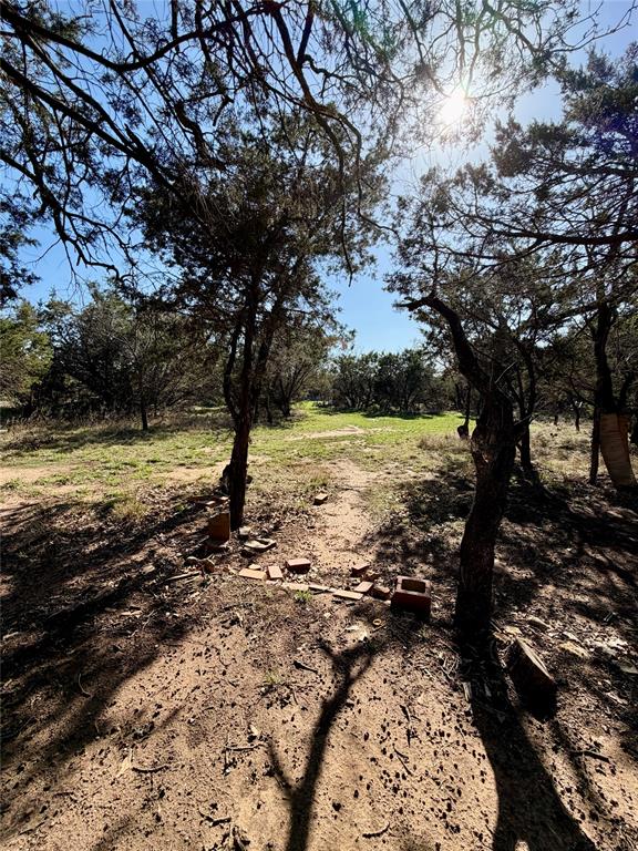 640 M24 Road Ranger, TX 76470 - Photo 16 of 26 a view of a large tree with lots of trees