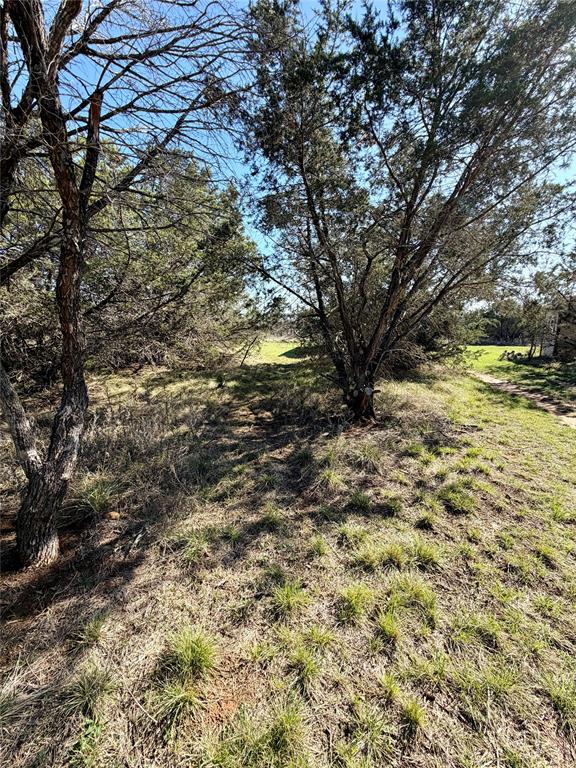 640 M24 Road Ranger, TX 76470 - Photo 17 of 26 a view of a yard with a tree