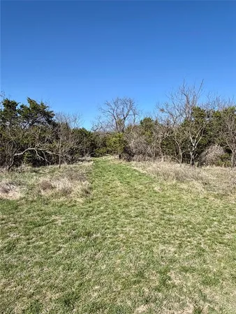 a view of a yard with a tree