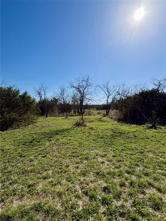 a view of a grassy area