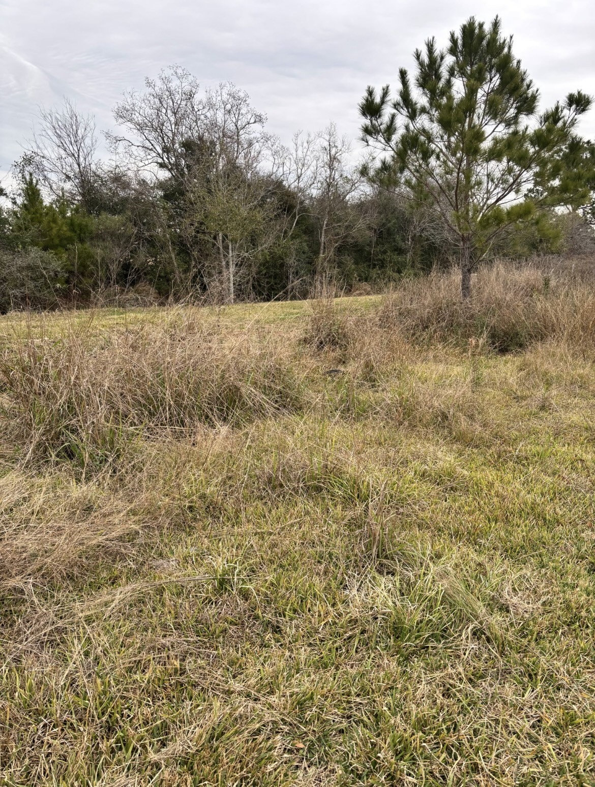 16195 Marsh Road Hamshire, TX 77622 - Photo 12 of 15
