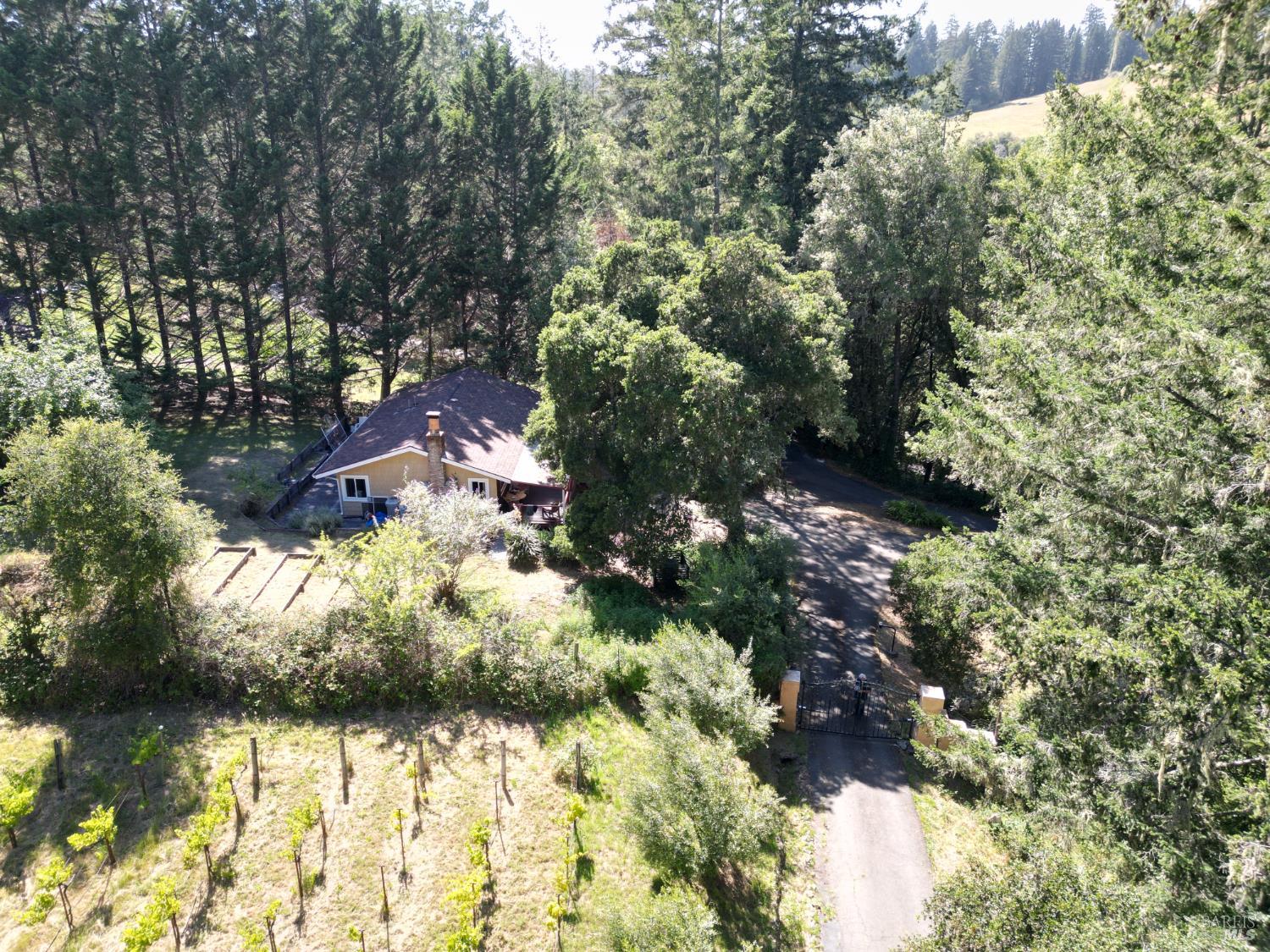 16875 Coleman Valley Road Occidental, CA 95465 - Photo 77 of 84