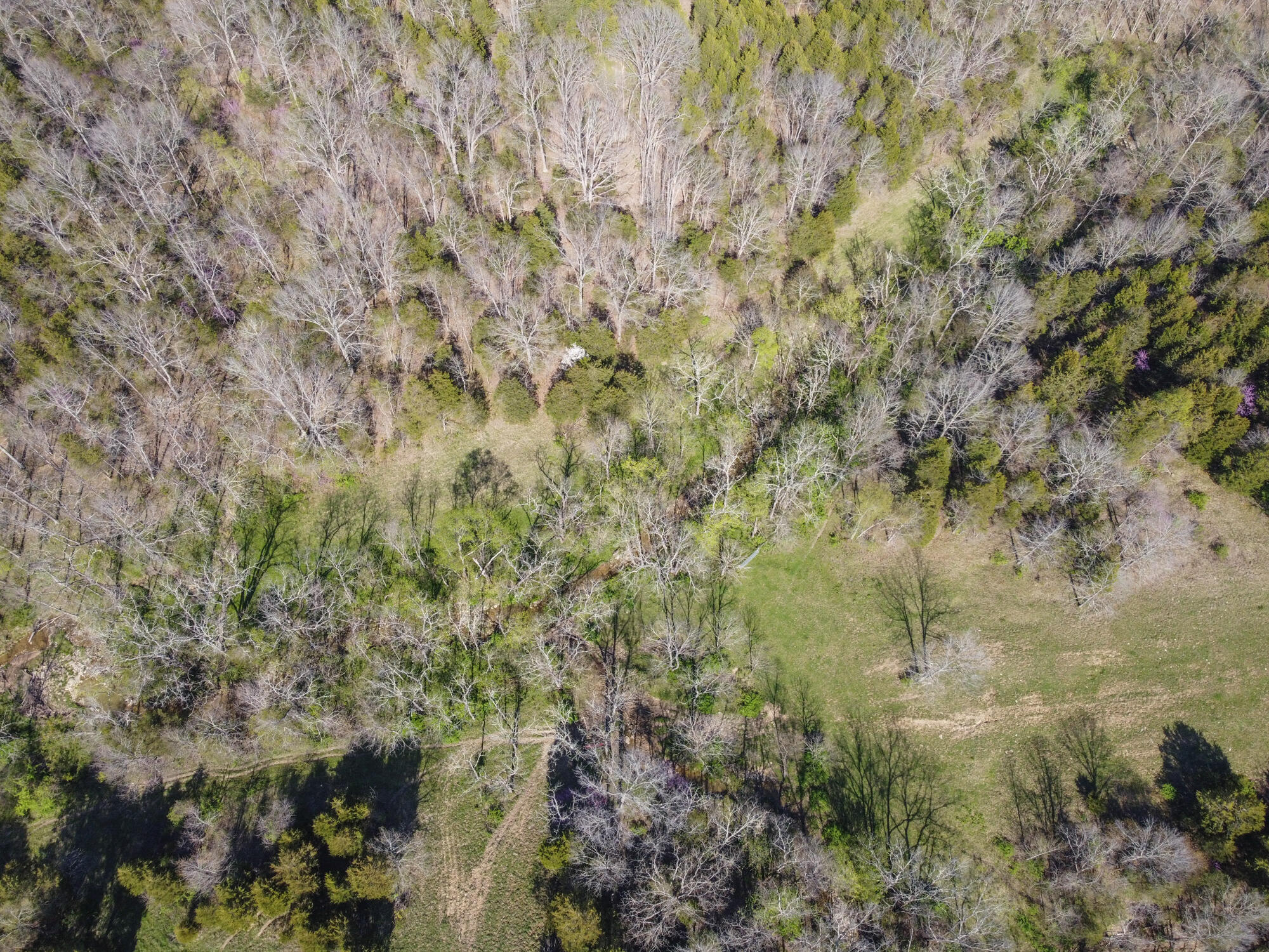214-acres Keefer Road Corinth, KY 41010 - Photo 27 of 39 Keefer-30
