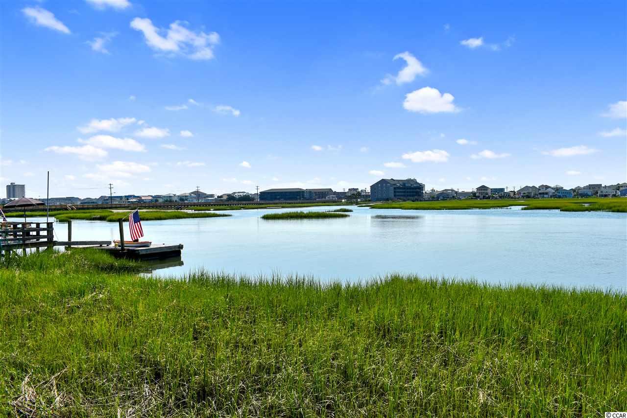 339 Yucca Circle Murrells Inlet, SC 29576 - Photo 26 of 33 Gallery Image 26