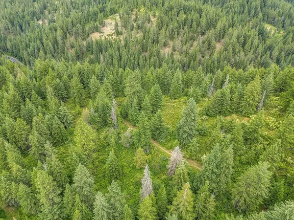 $110,000 | 19960 North Mt Spokane Park Drive, Unit PARCEL # 47134 9099, Mead, WA 99021