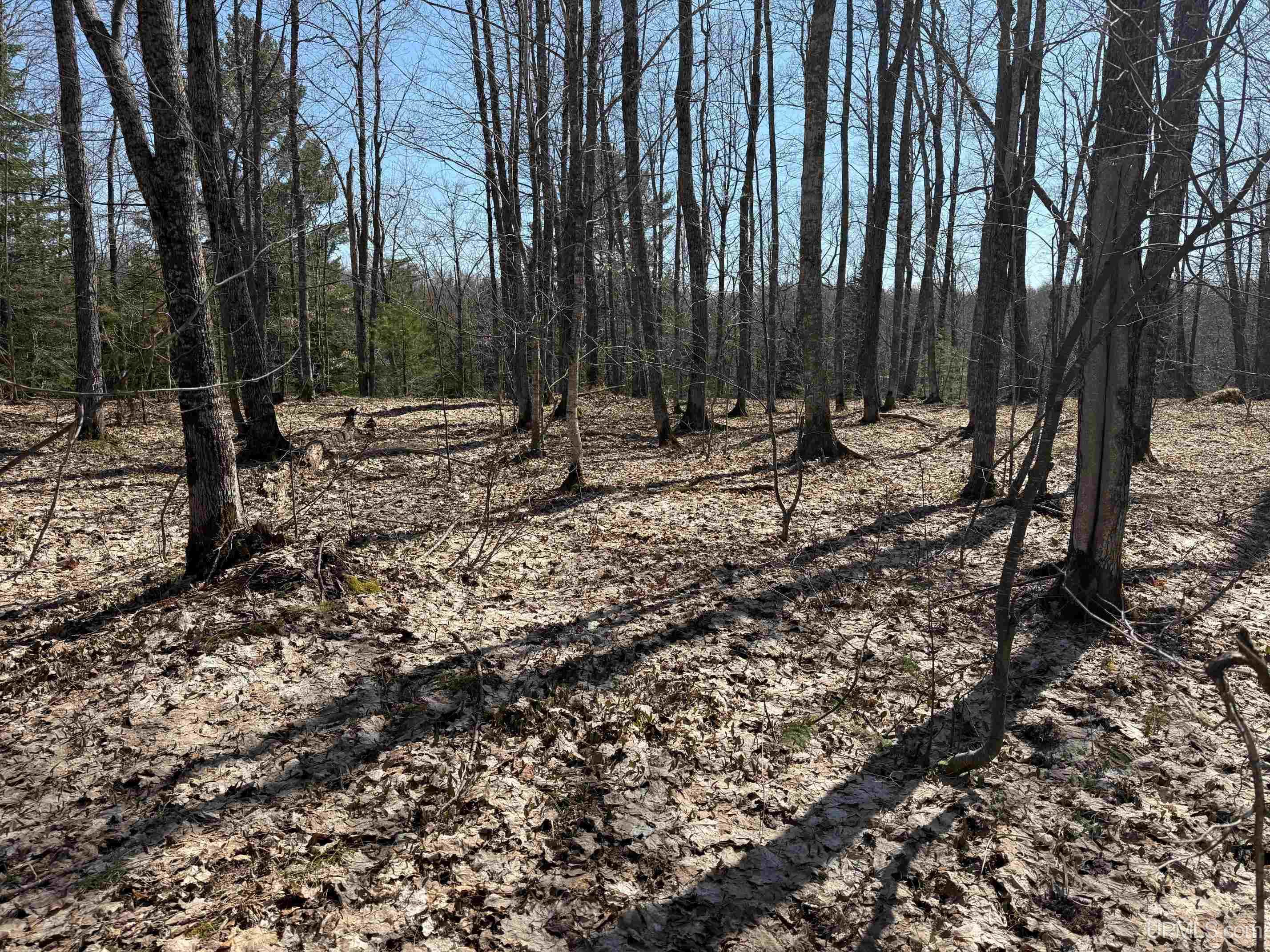 Tbdb Winona Road Toivola, MI 49965 - Photo 10 of 20