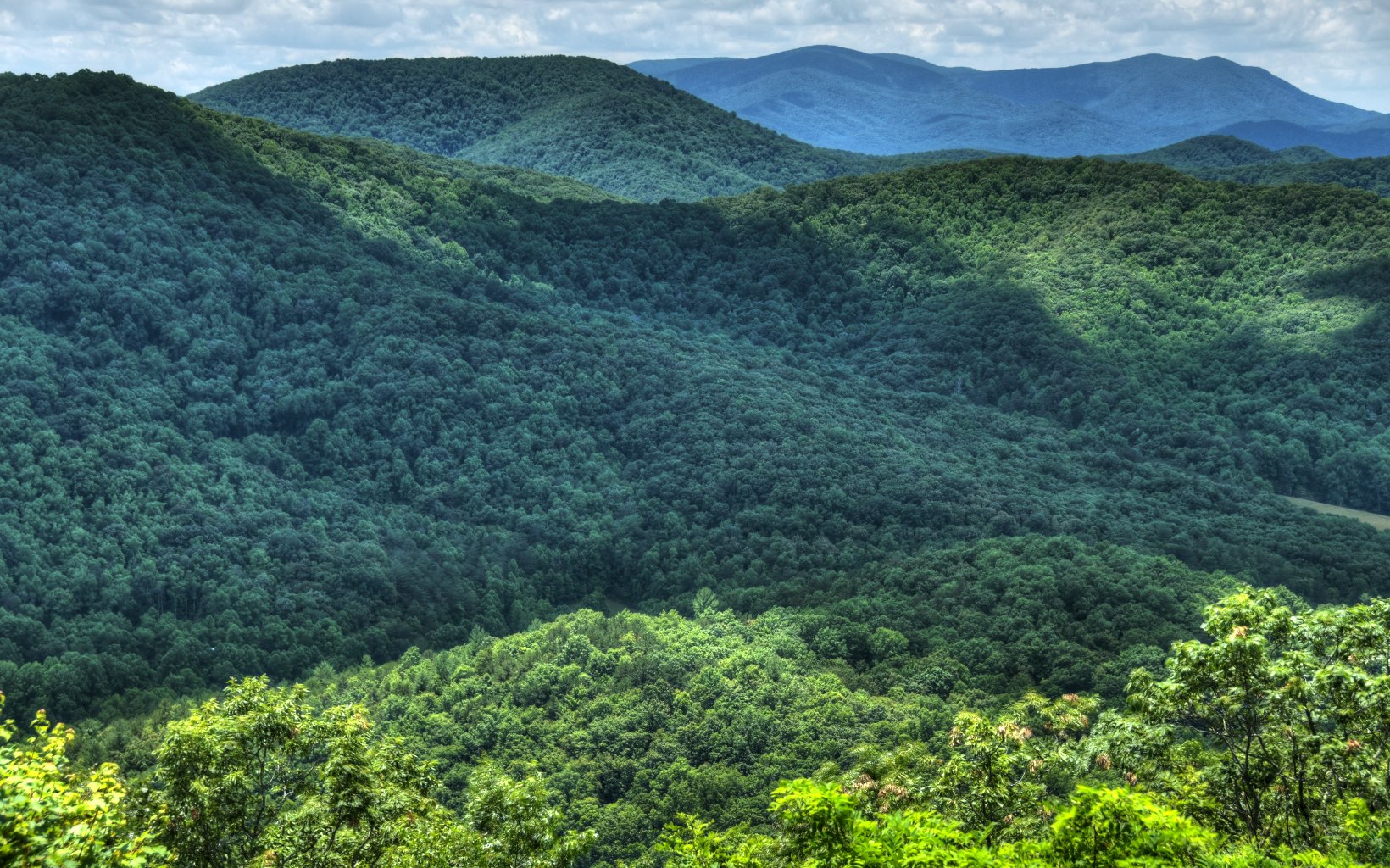 773 Heards Ridge Morganton, GA 30560 - Photo 2 of 54 a view of a lush green hillside and a mountain view