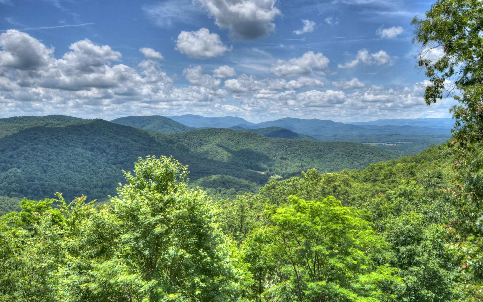 773 Heards Ridge Morganton, GA 30560 - Photo 23 of 54 Additional View