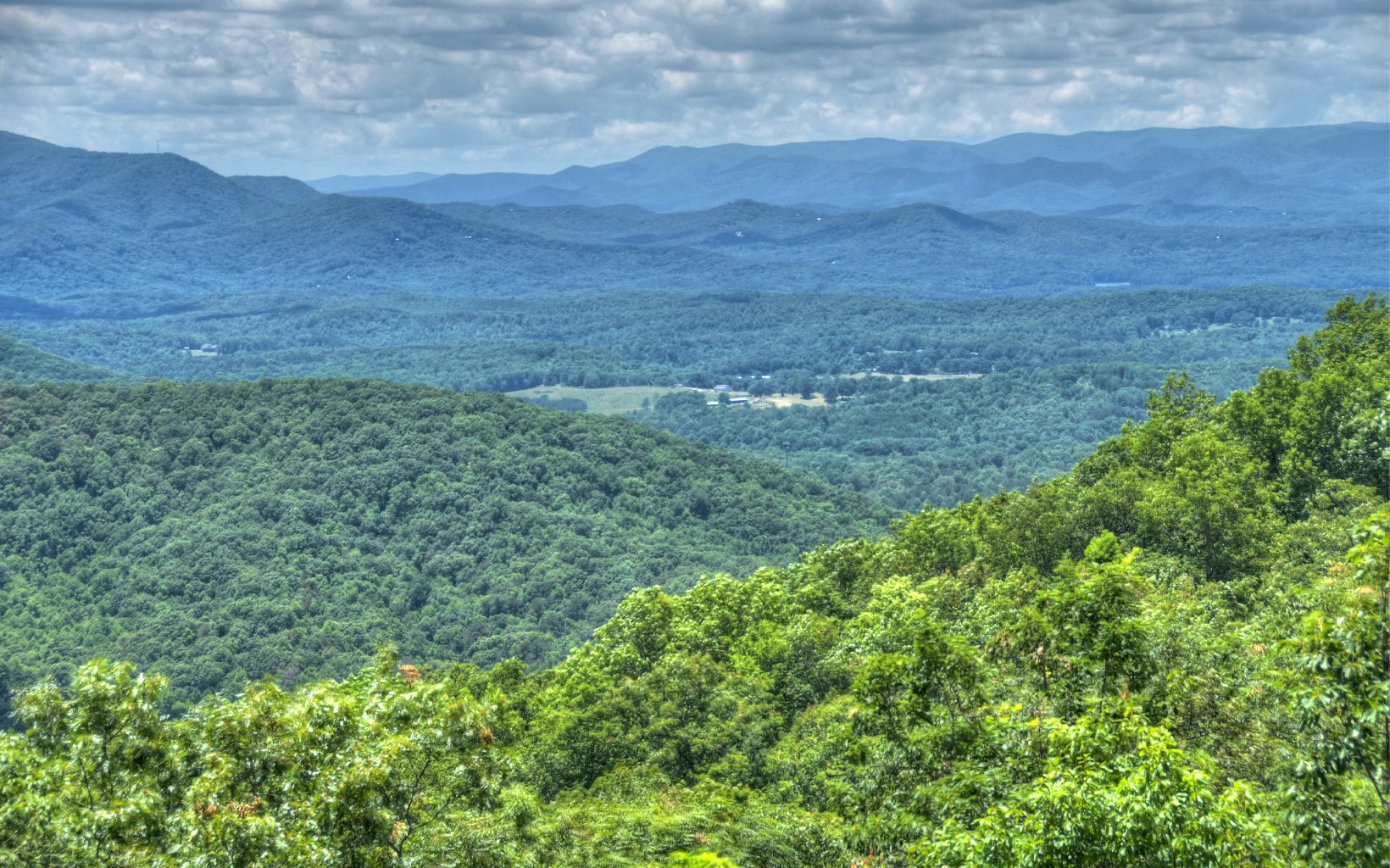 773 Heards Ridge Morganton, GA 30560 - Photo 24 of 54 a view of a field of grass and trees