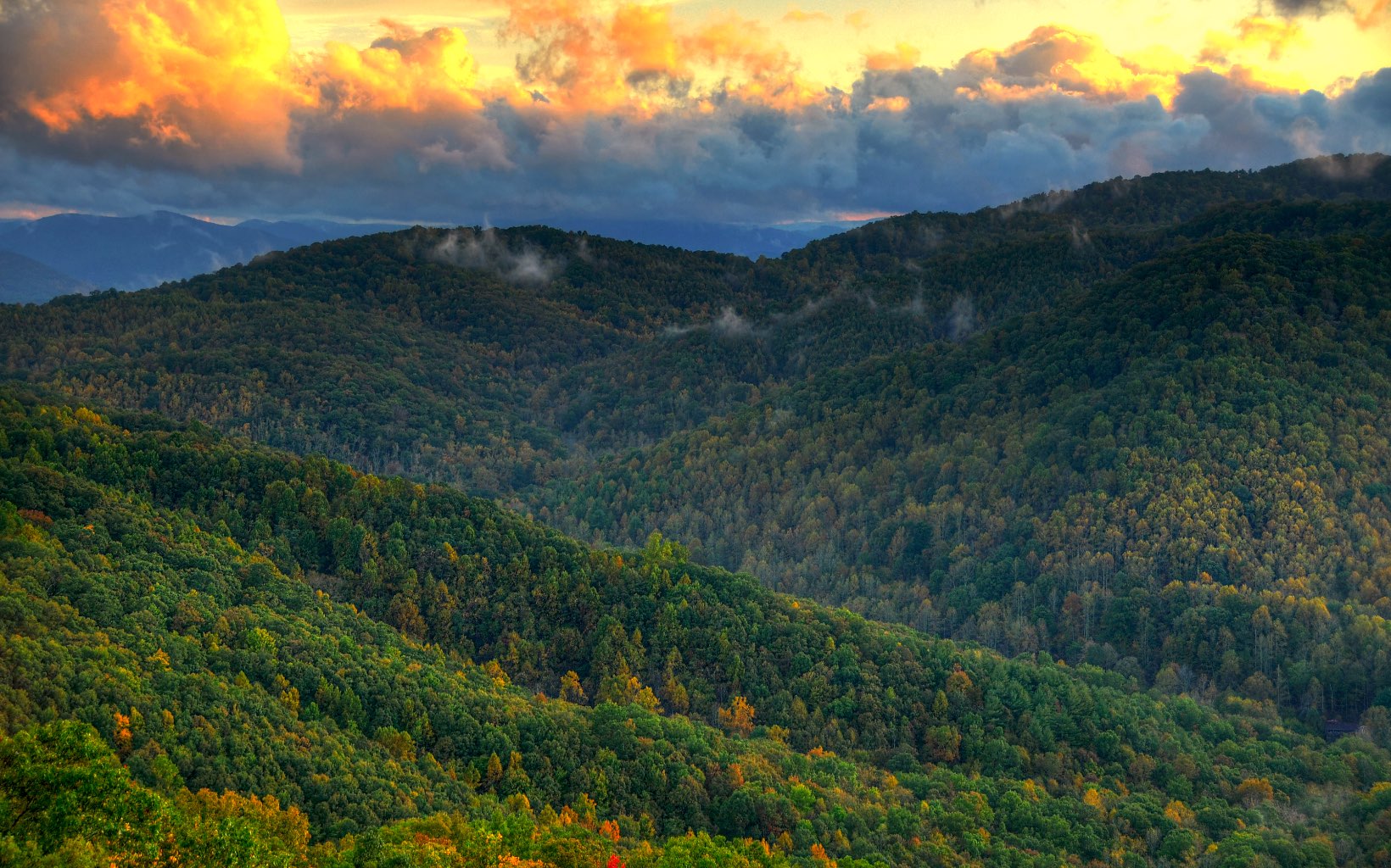 773 Heards Ridge Morganton, GA 30560 - Photo 54 of 54 a view of an outdoor space and a yard