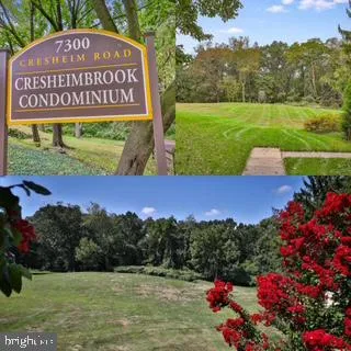 a view of a bunch of flowers and a book