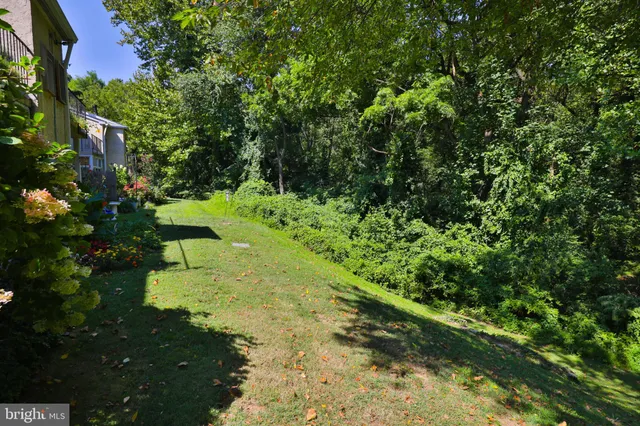 a view of a yard with a tree