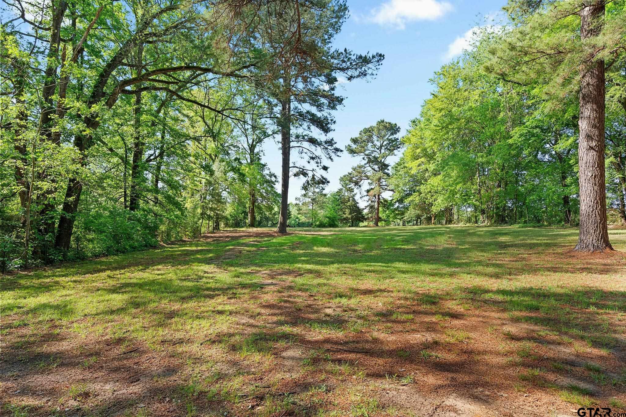 4550 Crabapple Road Gilmer, TX 75645 - Photo 30 of 33 a view of a park