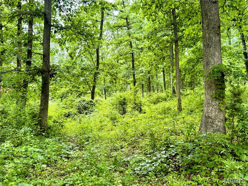 13628 Thorn Berry Road New London, MO 63459 - Photo 9 of 9