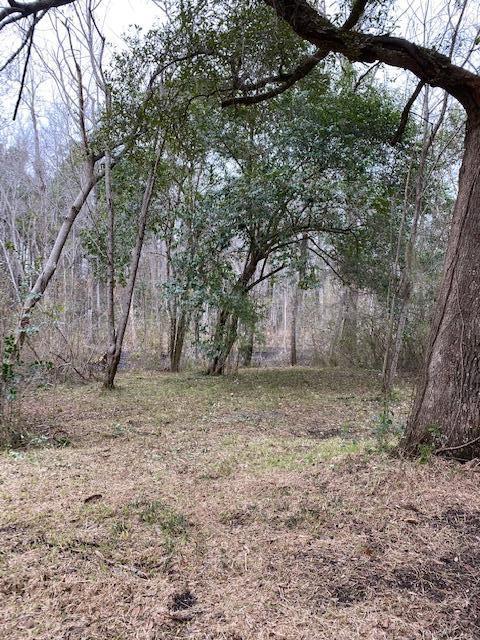 156 Oakley Road Moncks Corner, SC 29461 - Photo 12 of 26 IMG_0594
