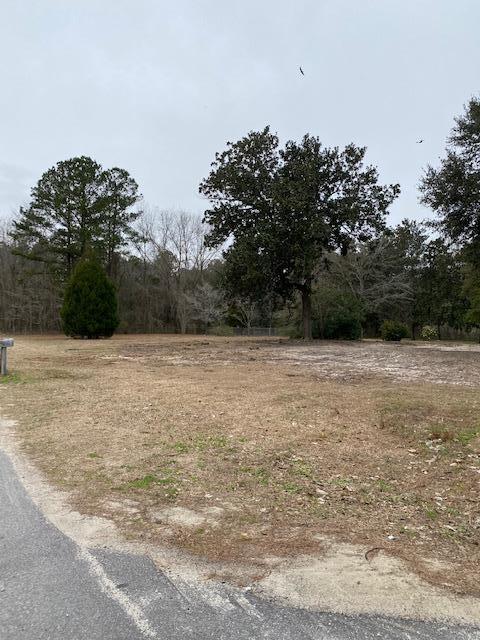 156 Oakley Road Moncks Corner, SC 29461 - Photo 23 of 26 IMG_0605