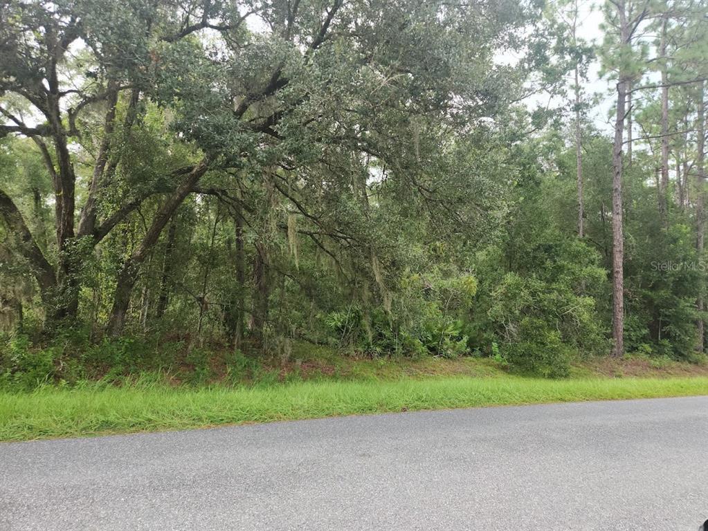 3 Southwest 61st Place Road Ocala, FL 34475 - Photo 1 of 1 Gallery Image 1